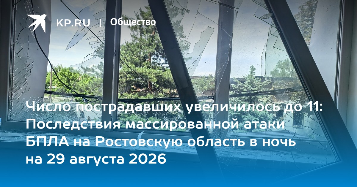Дополнительная фотография к материалу ««Атаки БПЛА» загуглили 100 тысяч раз — что искали люди»