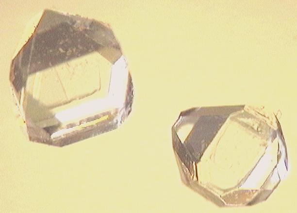 Дополнительная фотография к материалу «Жвачка оказалась не такой безобидной — ксилит связали с риском инфаркта и инсульта»